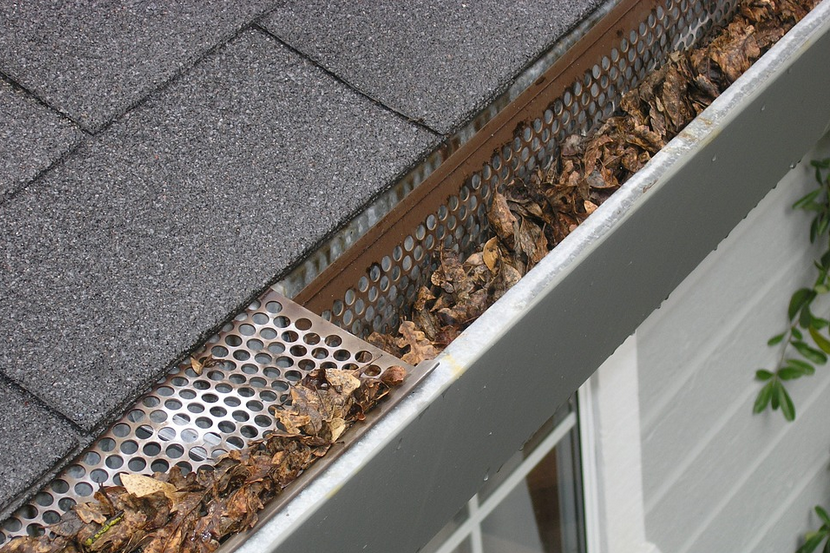 gutter guard